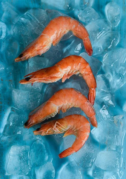 Camarones para comercialización