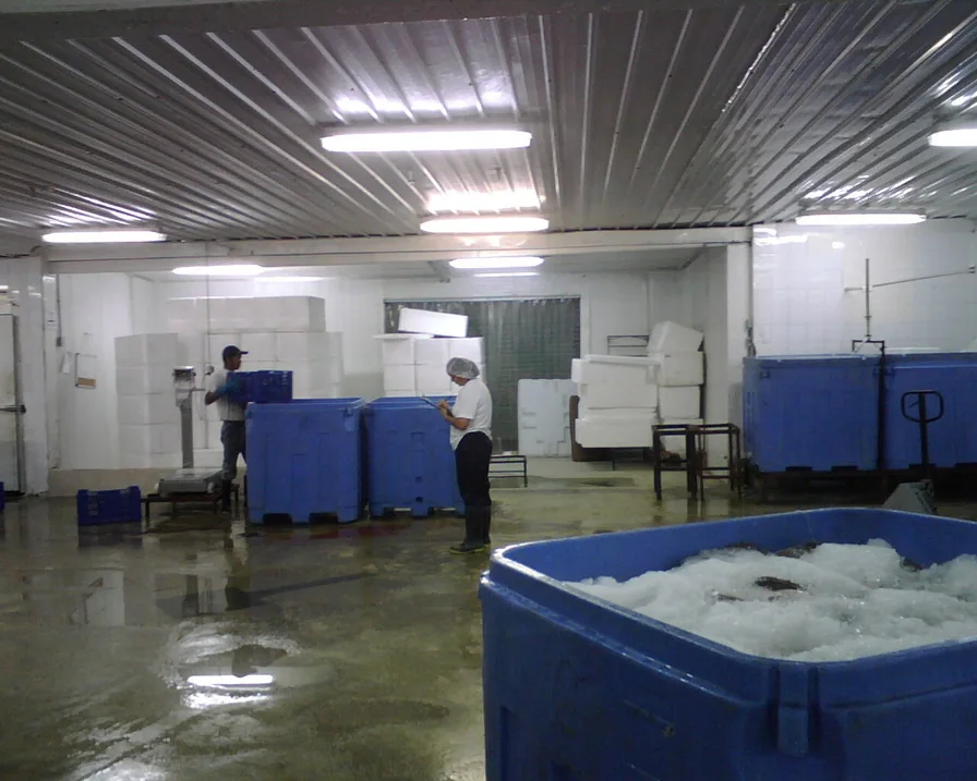 Instalaciones de procesamiento de productos del mar de Grupo Panalang