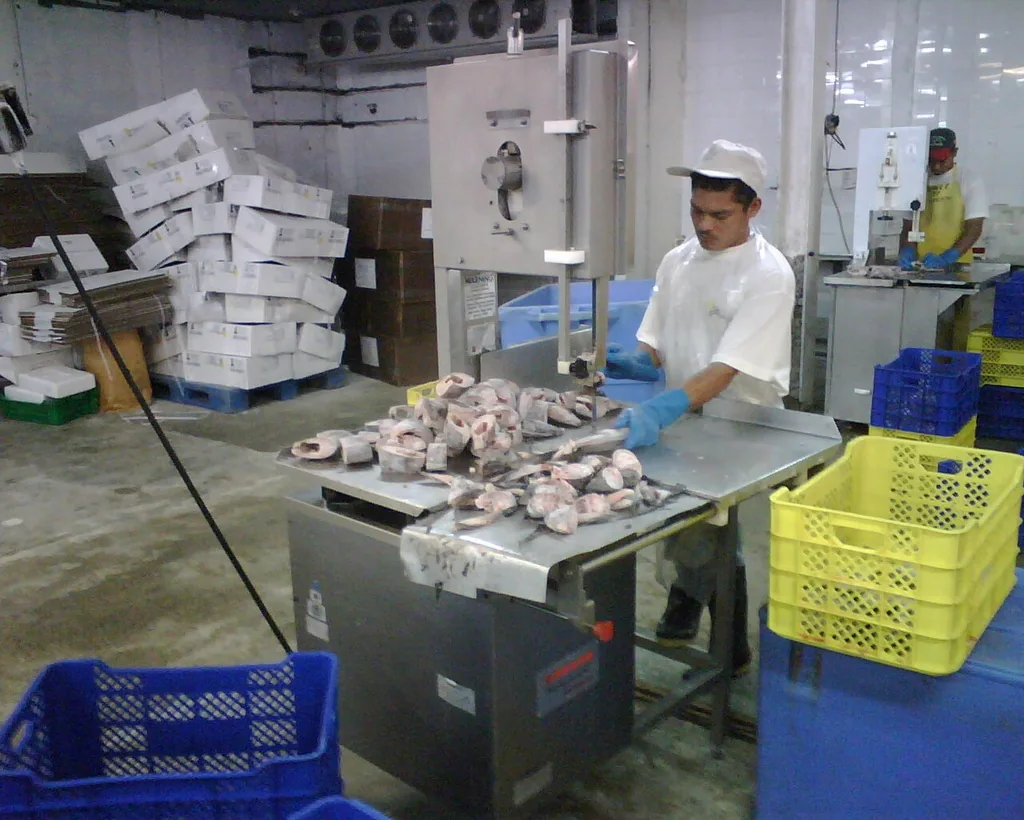 Área de trabajo y procesamiento de pescado