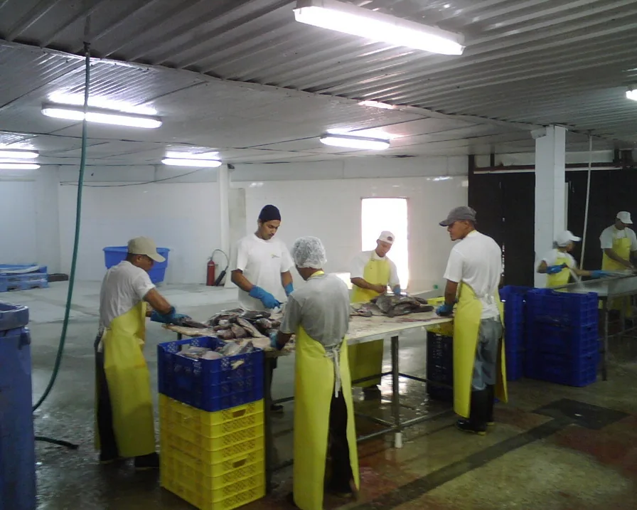 Personal y actividades relacionadas con el procesamiento de productos del mar